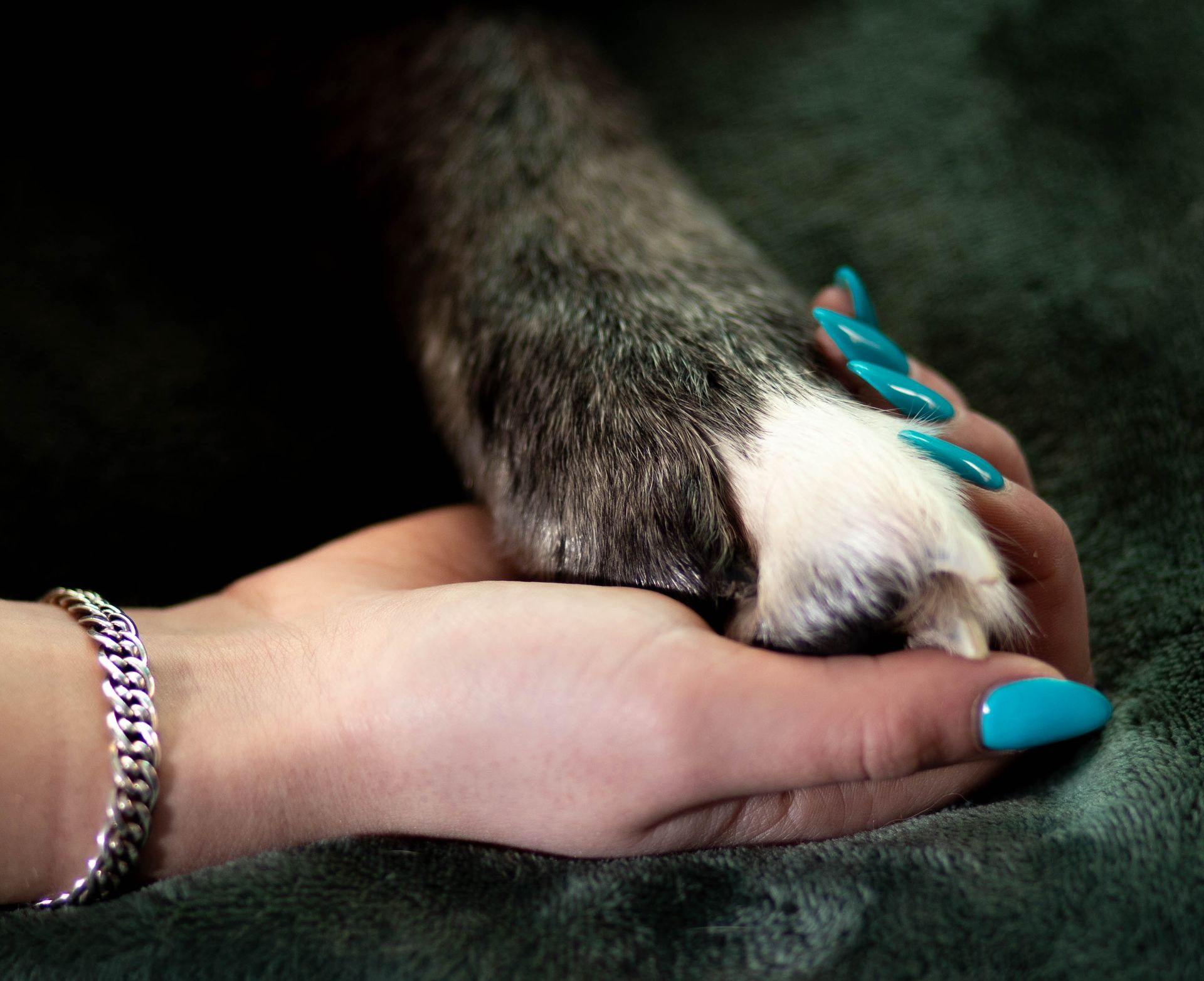 Een hand met fel turkooize gemanicuurde nagels houdt voorzichtig een donkere, pluizige dierenpoot vast met witte vacht aan het uiteinde.