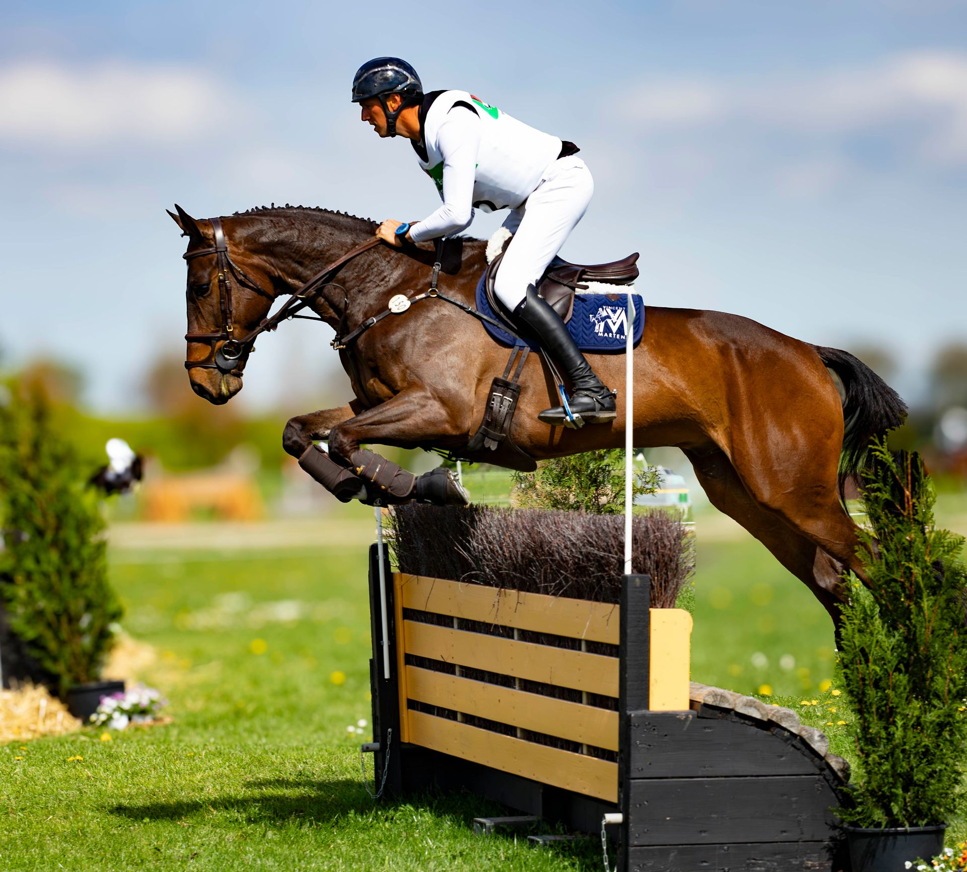 Paard en ruiter springen over een hindernis op een grasparcours. Het paard is donkerbruin, de ruiter draagt ​​wit.