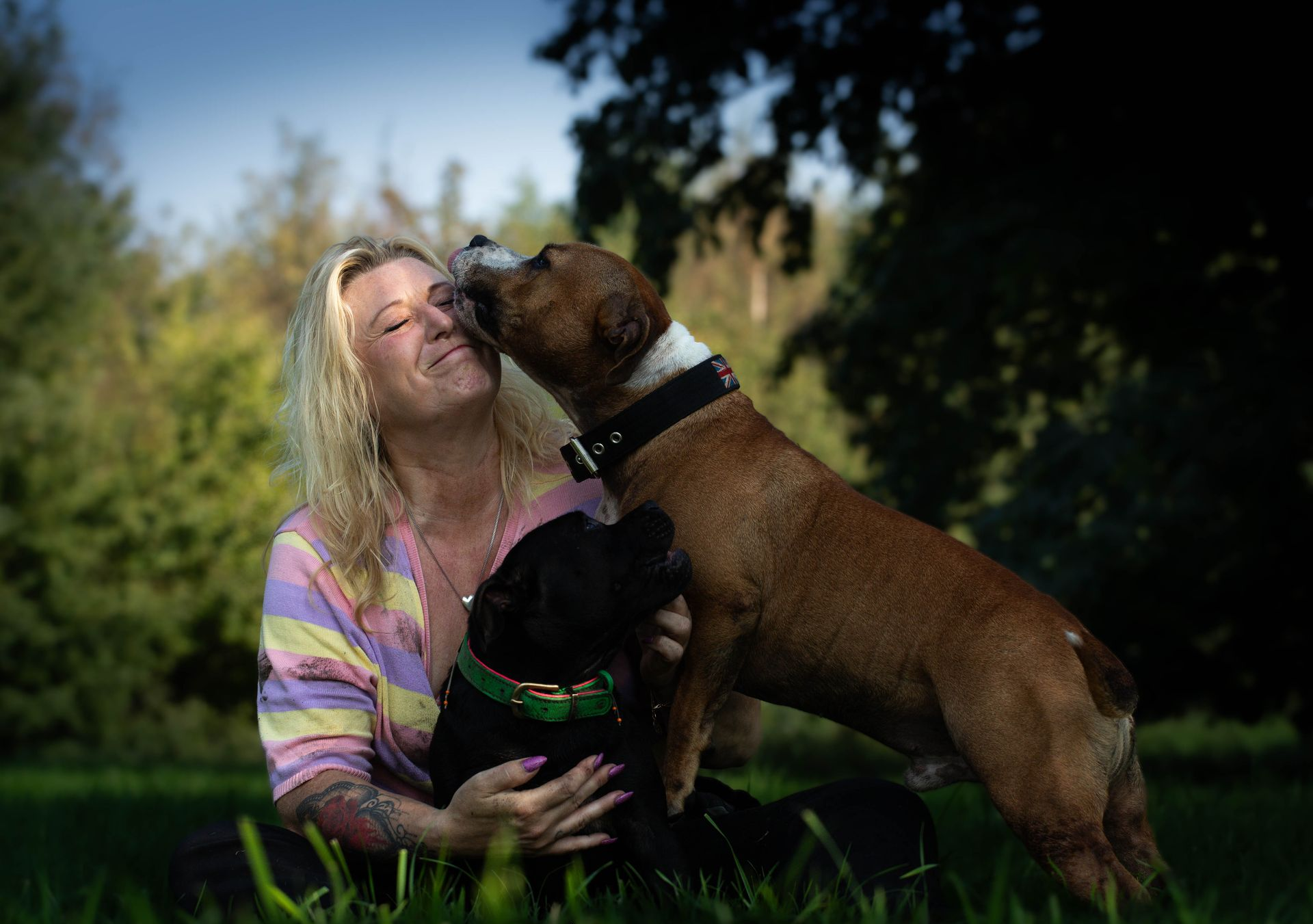 Een persoon zit in een park met twee honden, een bruine en een zwarte, en speelt liefdevol met ze.