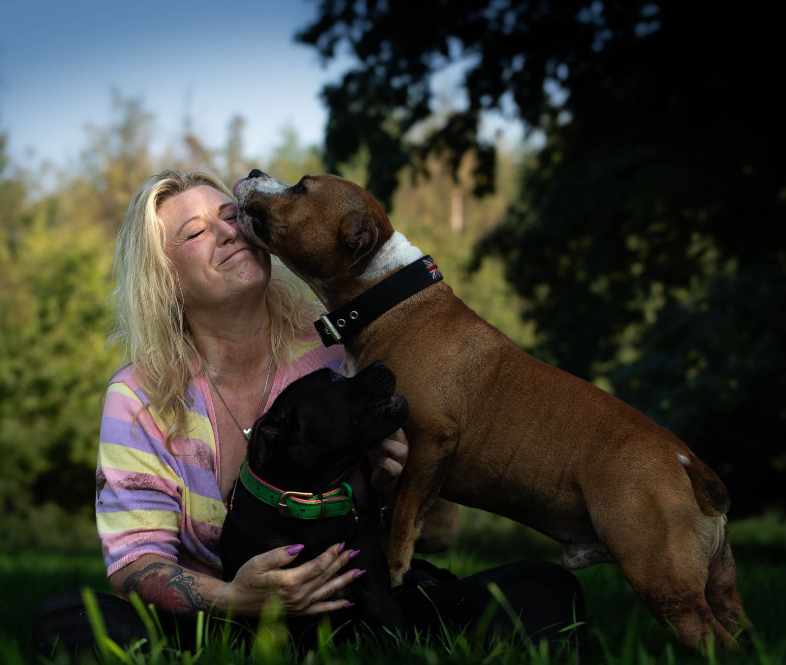 Zwarte hond met halsband, kijkt omhoog en lacht tegen een donkere achtergrond.