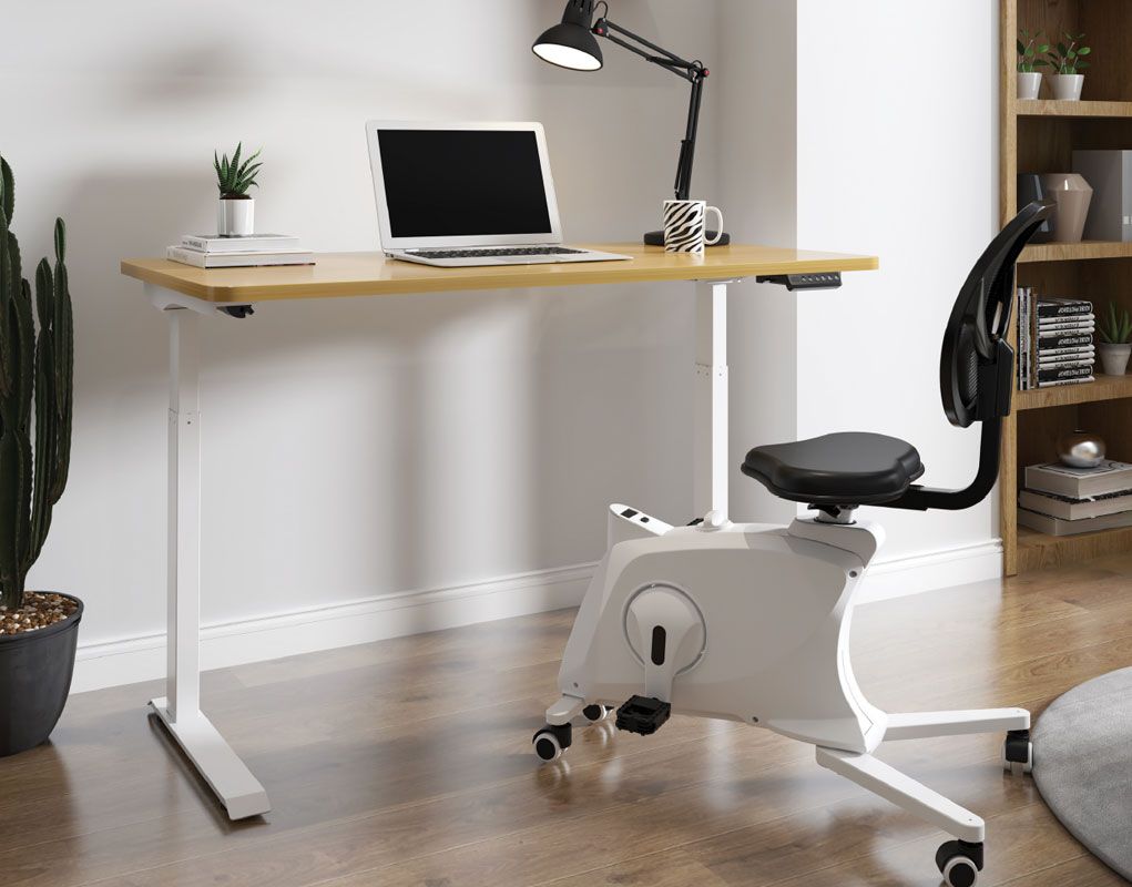 bicicleta ergométrica com encosto