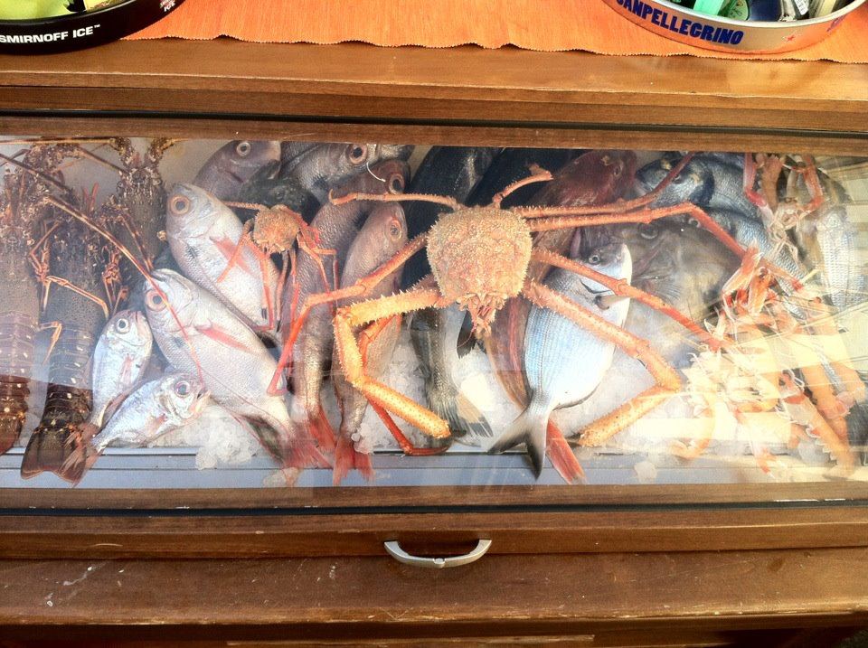 piatti di tradizione maremmana