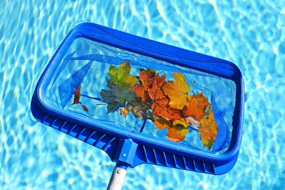 Blue Pool Skimmer Net Filled with Colourful Autumn Leaves in A Pool — Ultra Clear Pool Care in Cranbrook, QLD