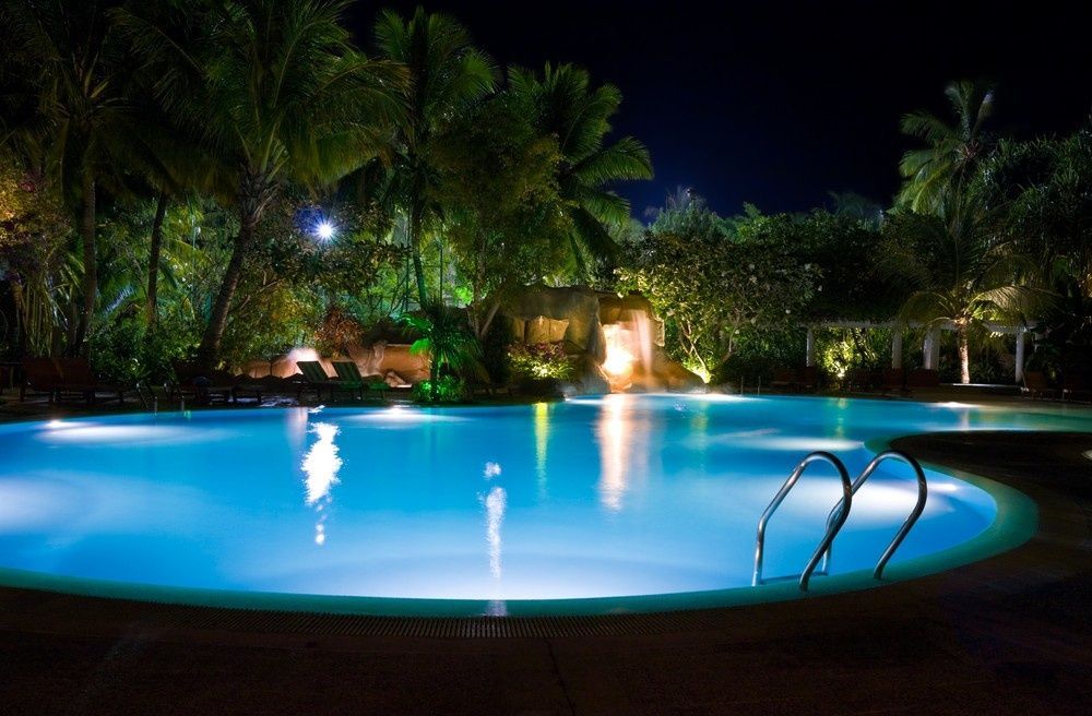 Nighttime Pool Surrounded by Palm Trees, Lit with Blue Lights — Ultra Clear Pool Care in Cranbrook, QLD