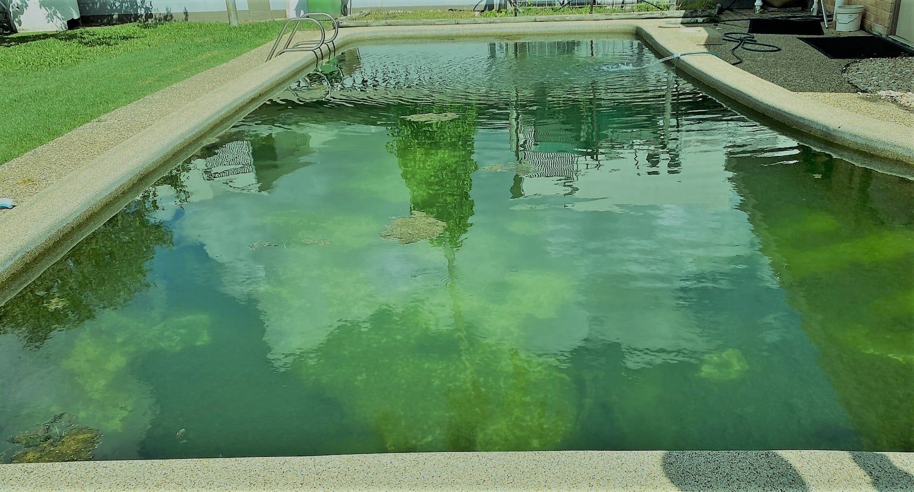 Rectangular Pond With Green Water, Surrounded by Concrete — Ultra Clear Pool Care in Cranbrook, QLD