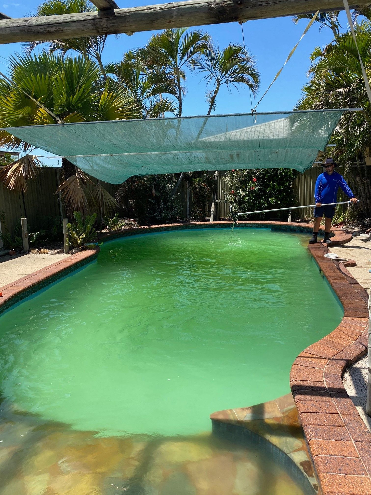 Green Pool Needing Cleaning, Man Holding Pool Cleaner — Ultra Clear Pool Care in Cranbrook, QLD
