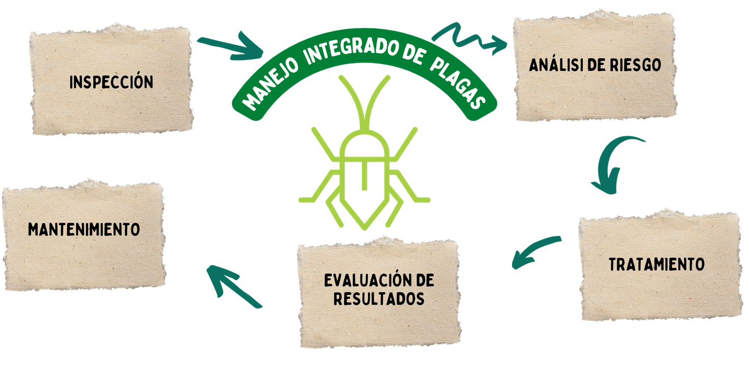 FUMIGA MÉXICO