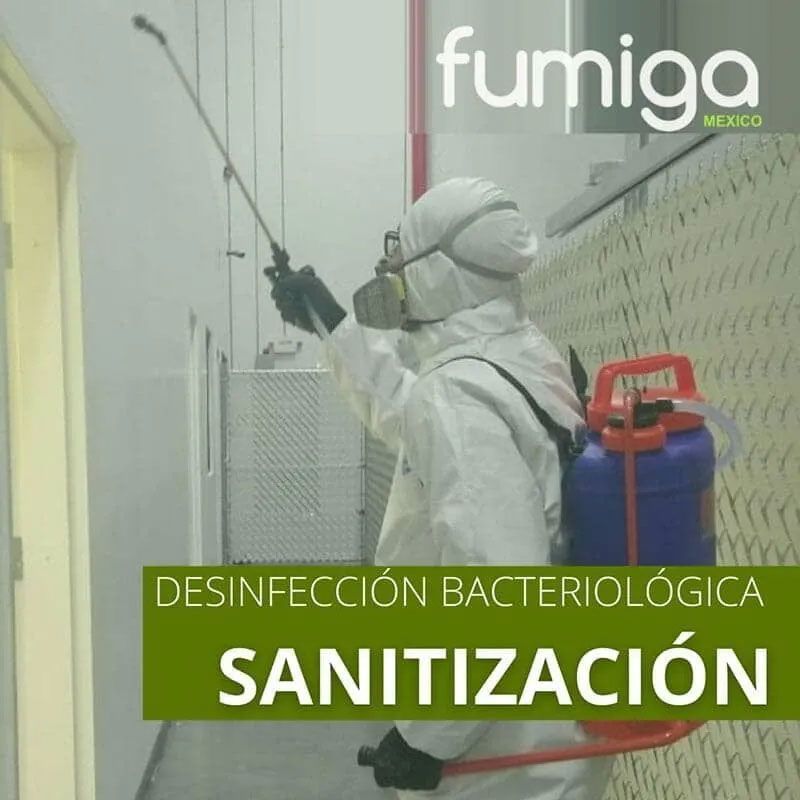 FUMIGA MÉXICO