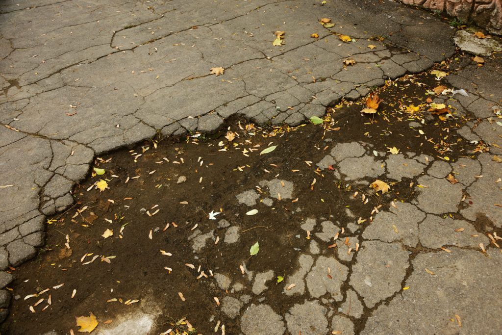 Cracked asphalt pavement with a puddle and fallen leaves.
