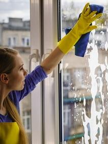 House Cleaning Services Maid Service Arlington Heights Il