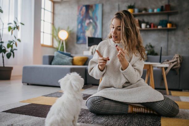 A woman is sitting on the floor playing with her dog.