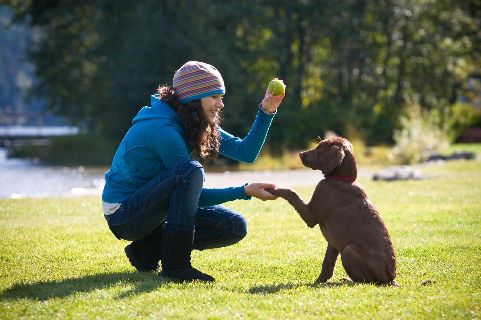 A woman is kneeling down to give a dog an apple.