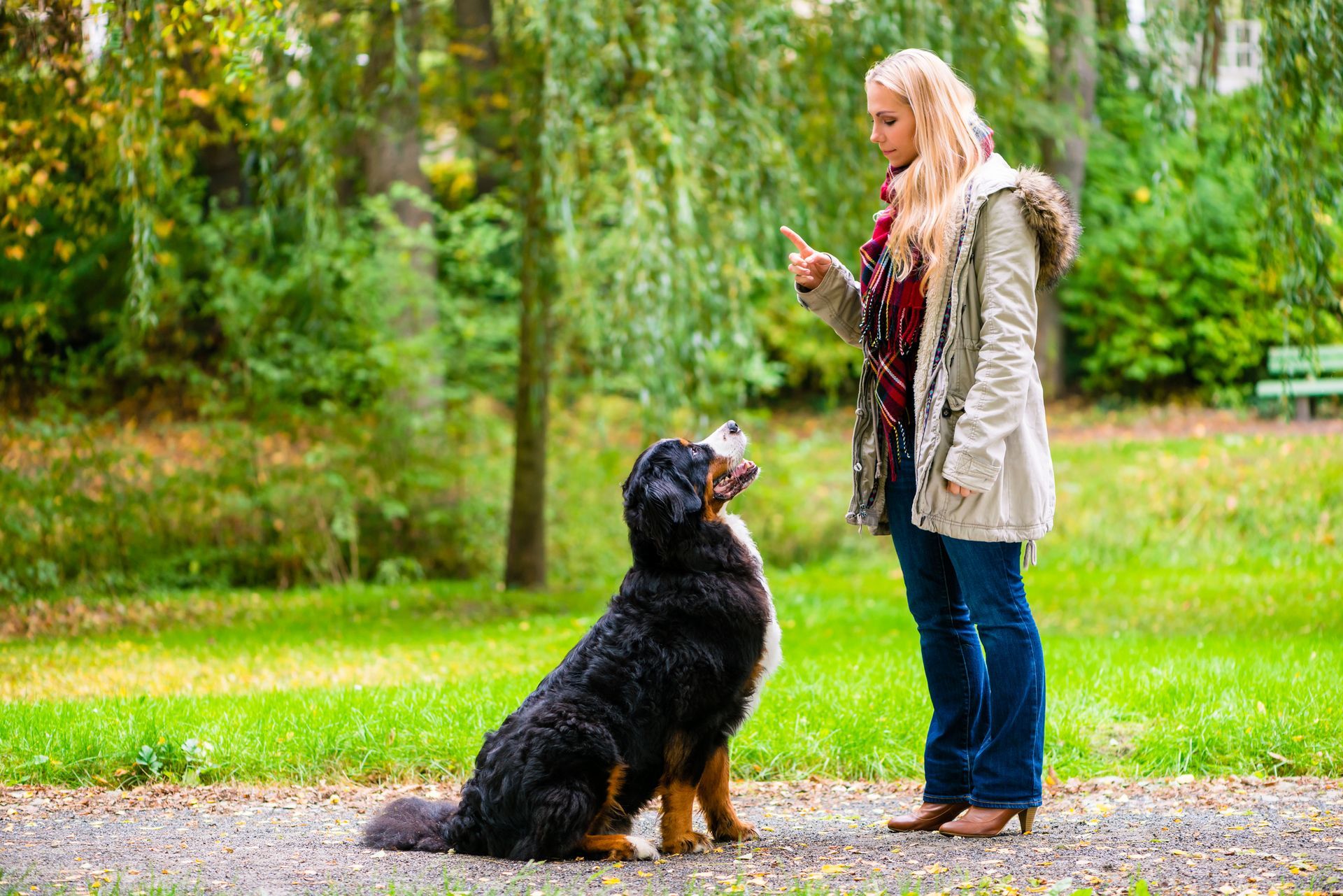 A woman is training a dog in a park.