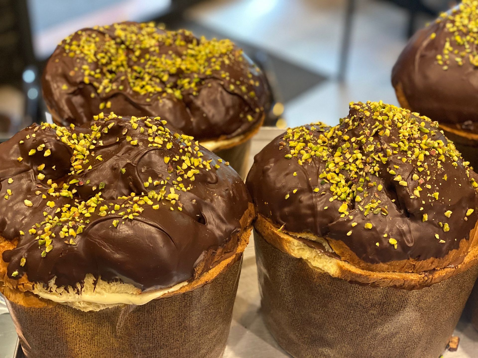 panettone cioccolato