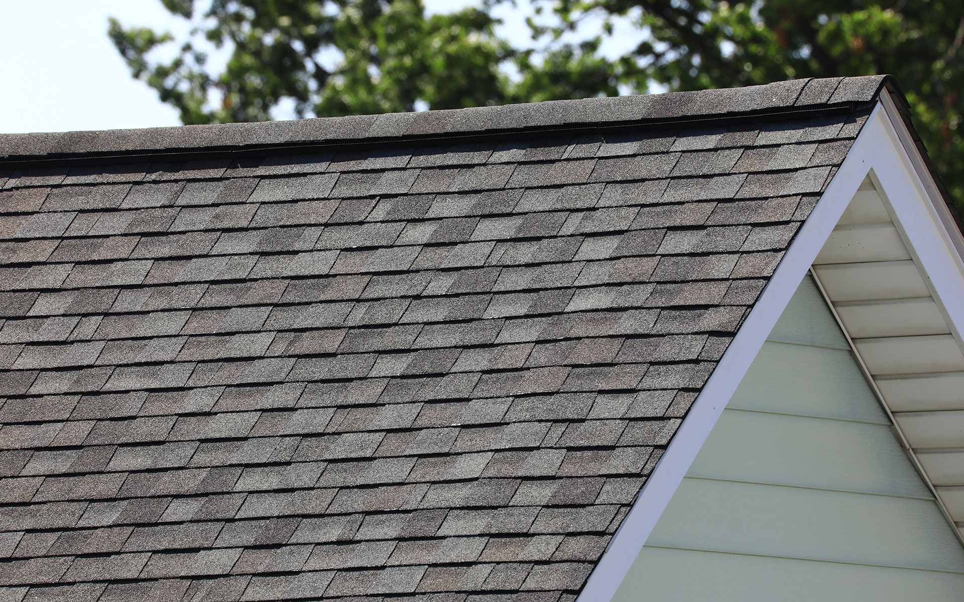 Close-up of a gray asphalt shingle roof with a white-trimmed gable.
