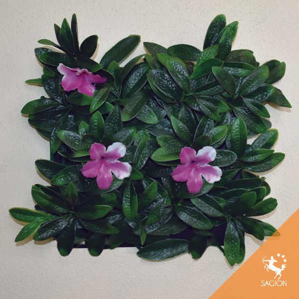 Follaje artificial cuernavaca