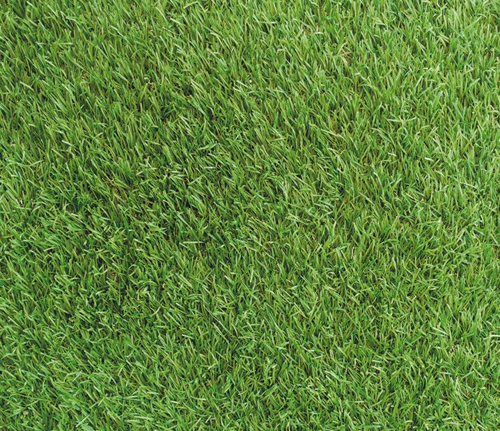 Pasto sintético 35mm