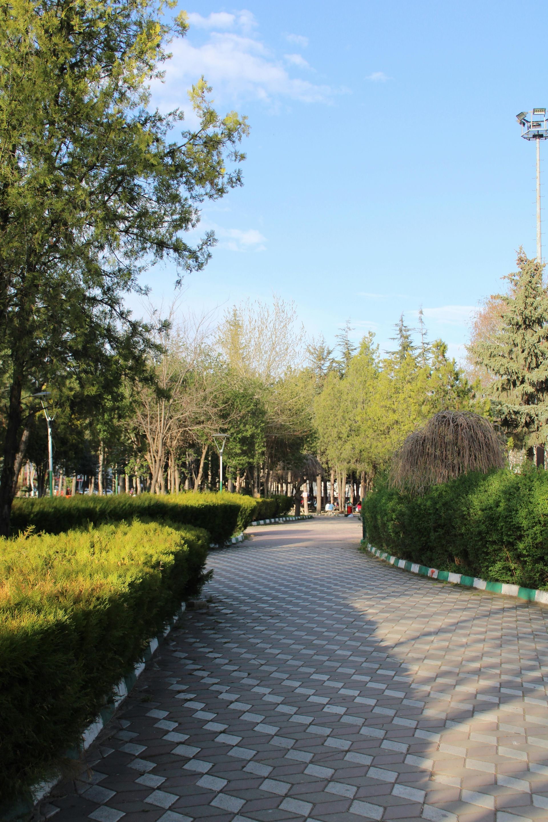 A brick walkway in a park surrounded by trees and bushes.