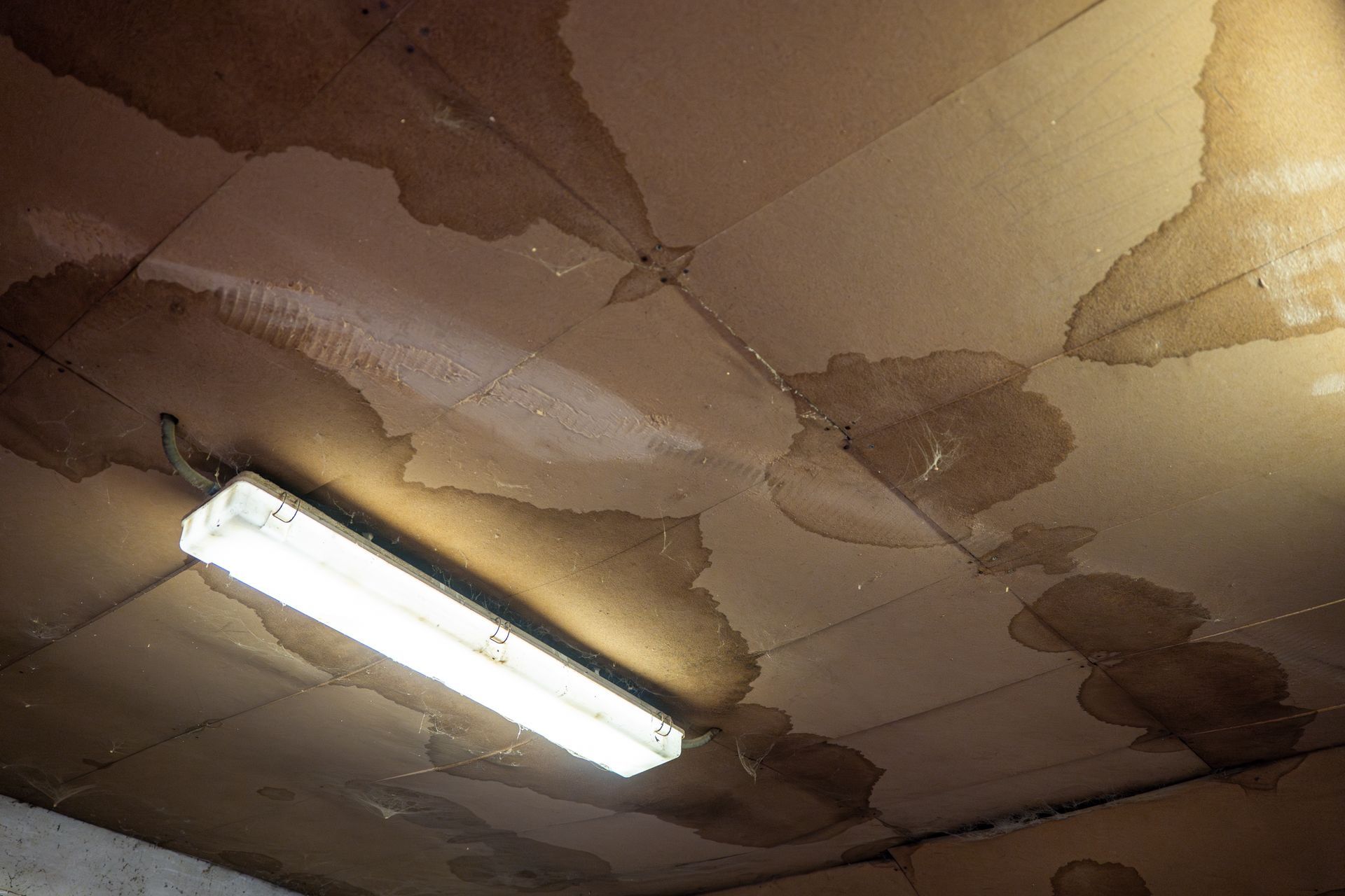 Water damaged ceiling with large wet stains and fluorescent light. Water damaged ceiling with large wet stains and fluorescent light.