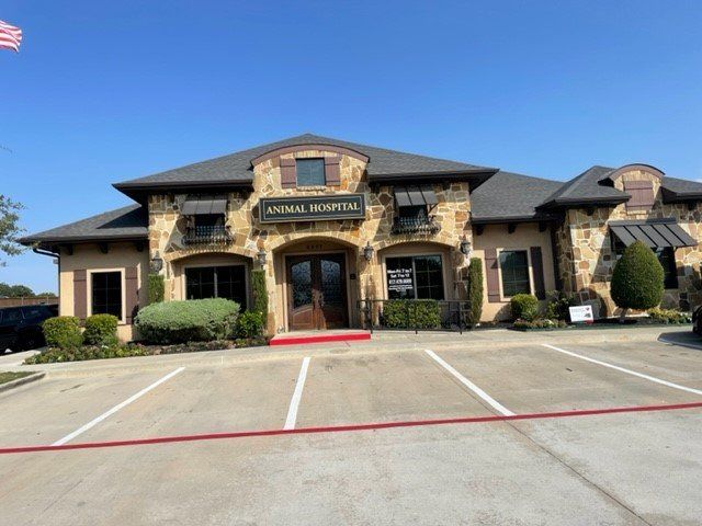 Animal Hospital exterior with tan stone facade, dark roof, and parking spaces.