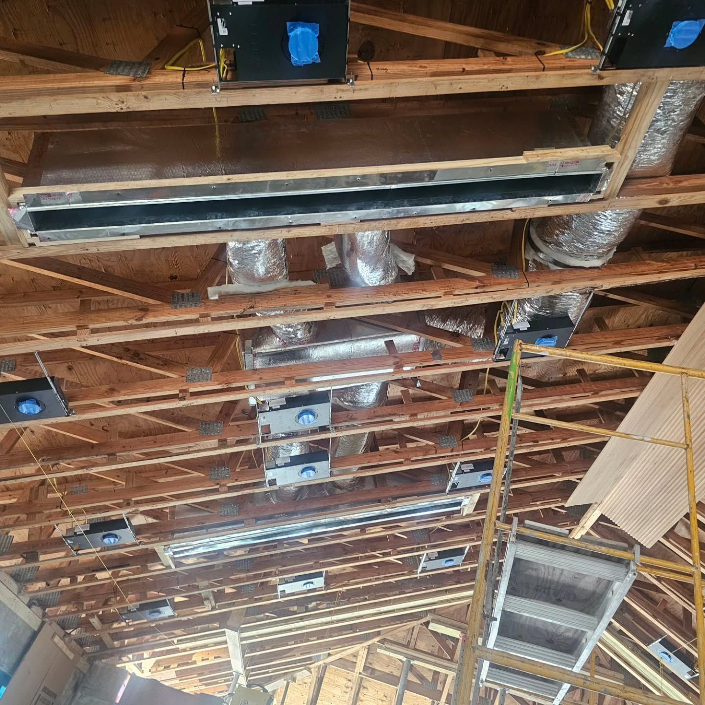 A ceiling with a lot of pipes hanging from it and a ladder.