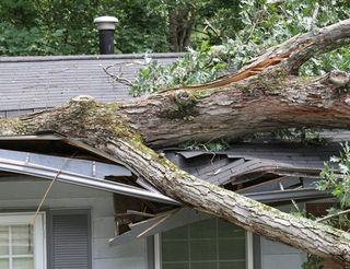 Personal Property Insurance Coverage — Wrecked Roof by a Broken Tree In Mcalester, OK