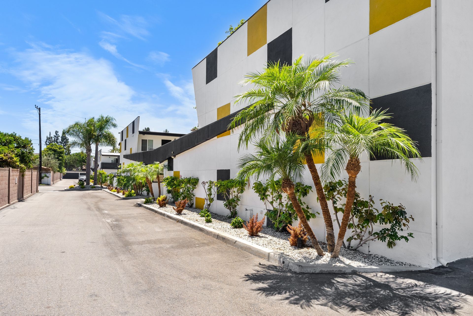 Checkered wall and palm trees