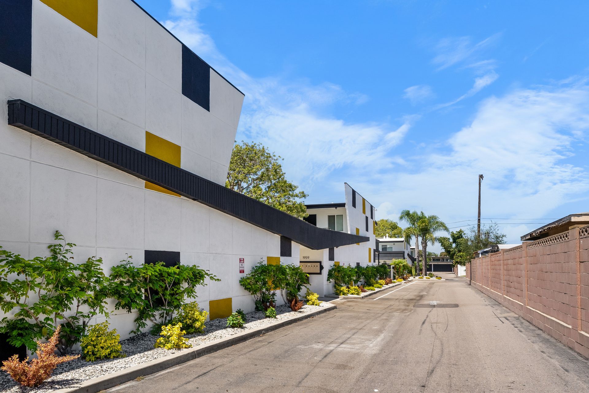 Checkered wall and plants