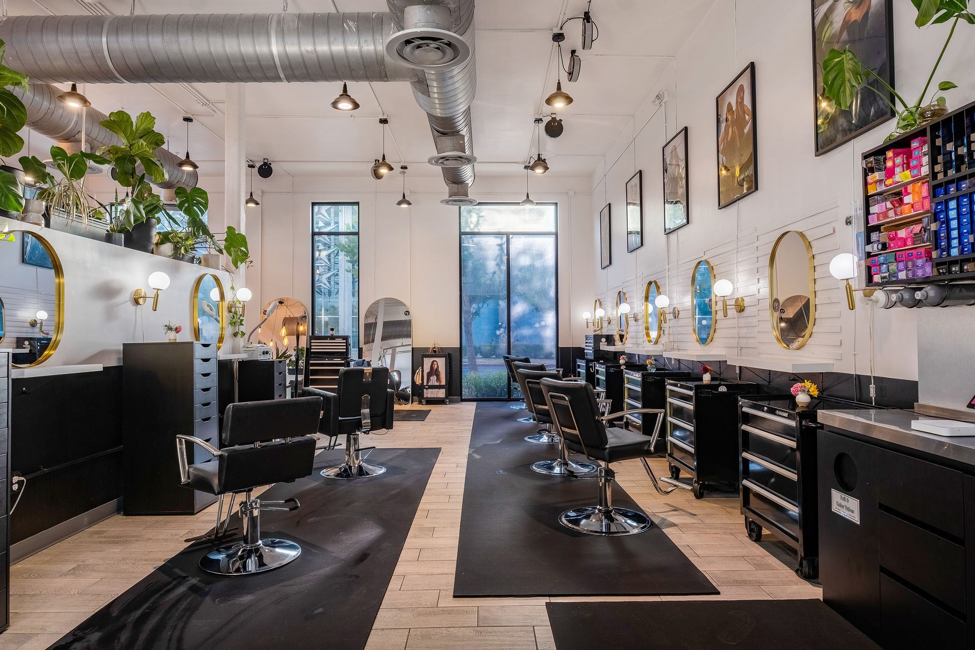 Hair salon interior with styling stations, mirrors, and decor; featuring plants and lighting.