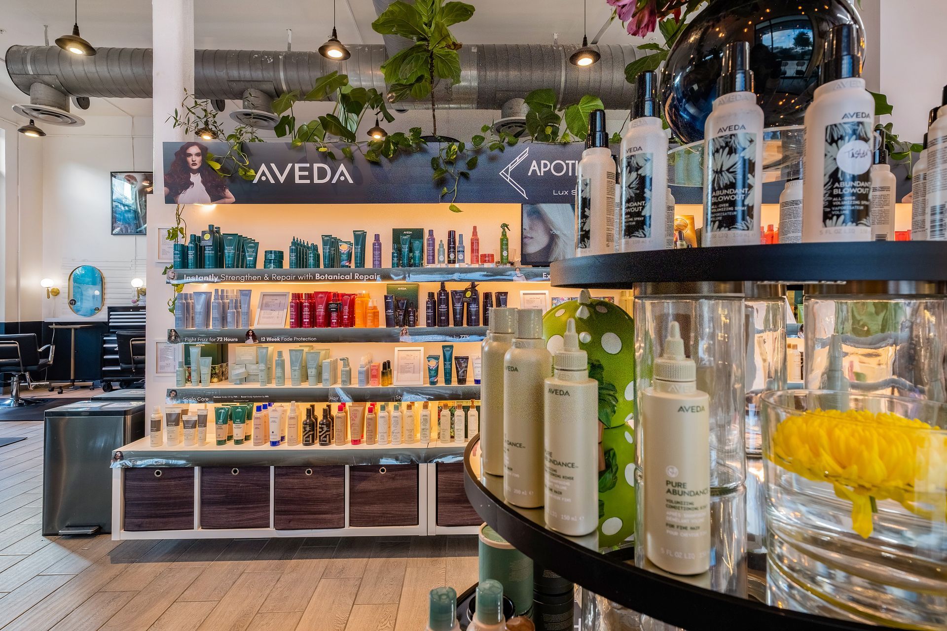 Aveda hair product display in a salon, shelves filled with bottles, plants and bright lighting.