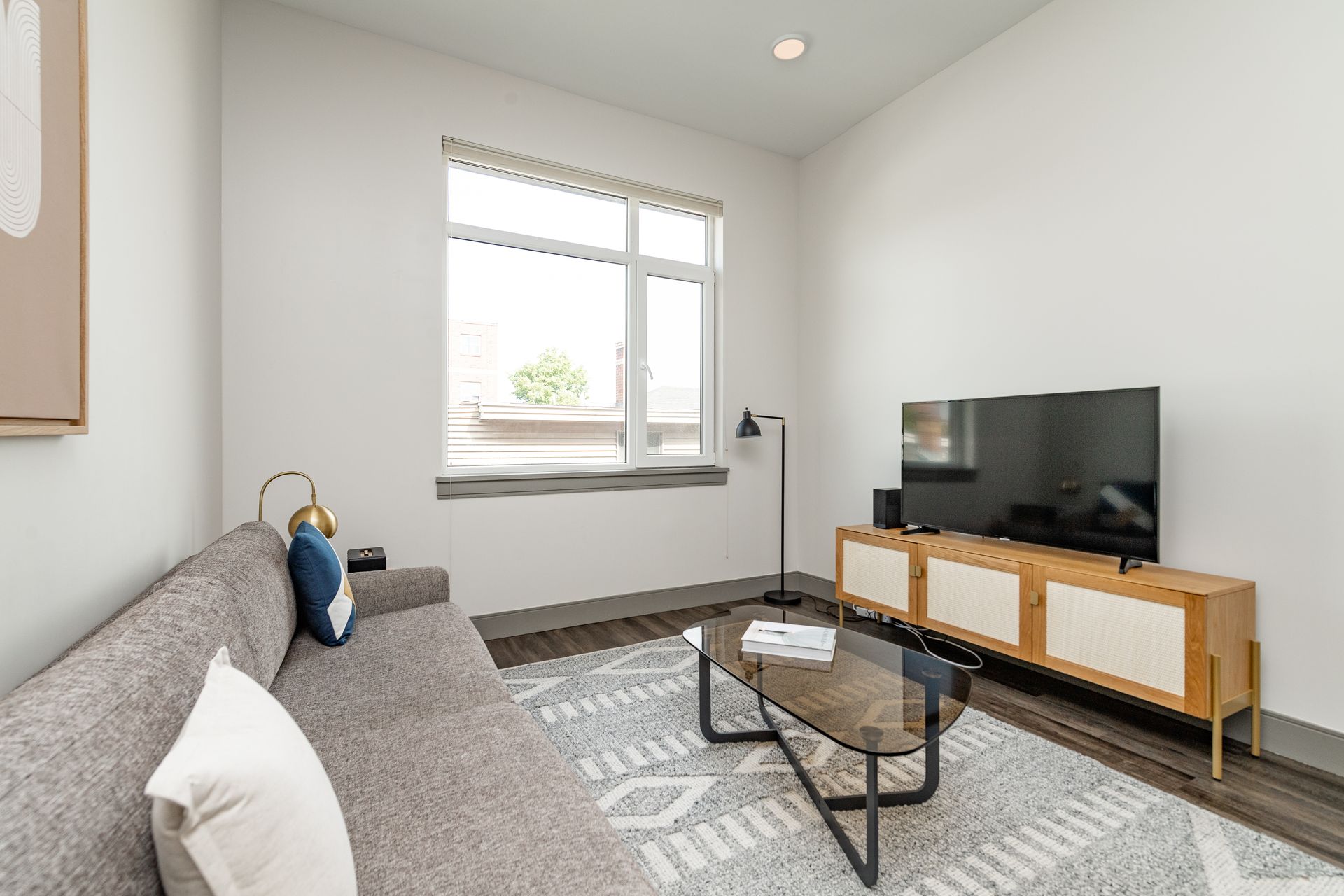 Living room with gray sofa, TV, coffee table, and wood cabinet, with a window and rug.