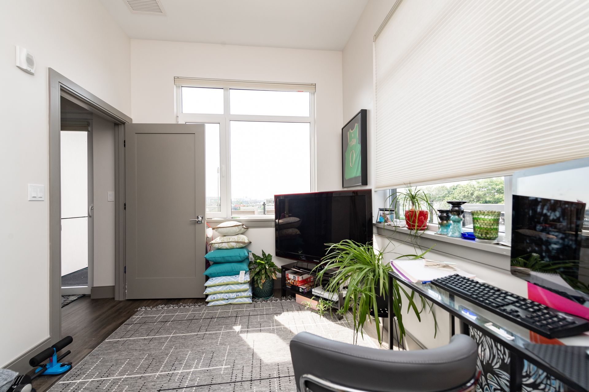 Room with window, TV, and desk; grey door to the left, green plants and pillows visible.