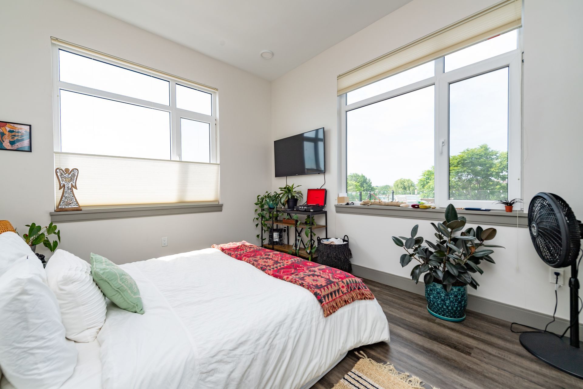 Bedroom with bed, windows, plants, TV, and fan.