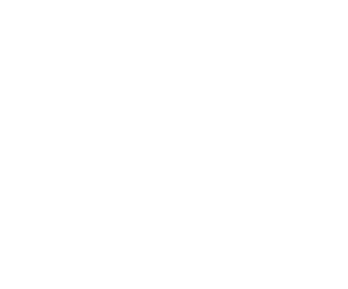 Stanaford Tire Shop logo