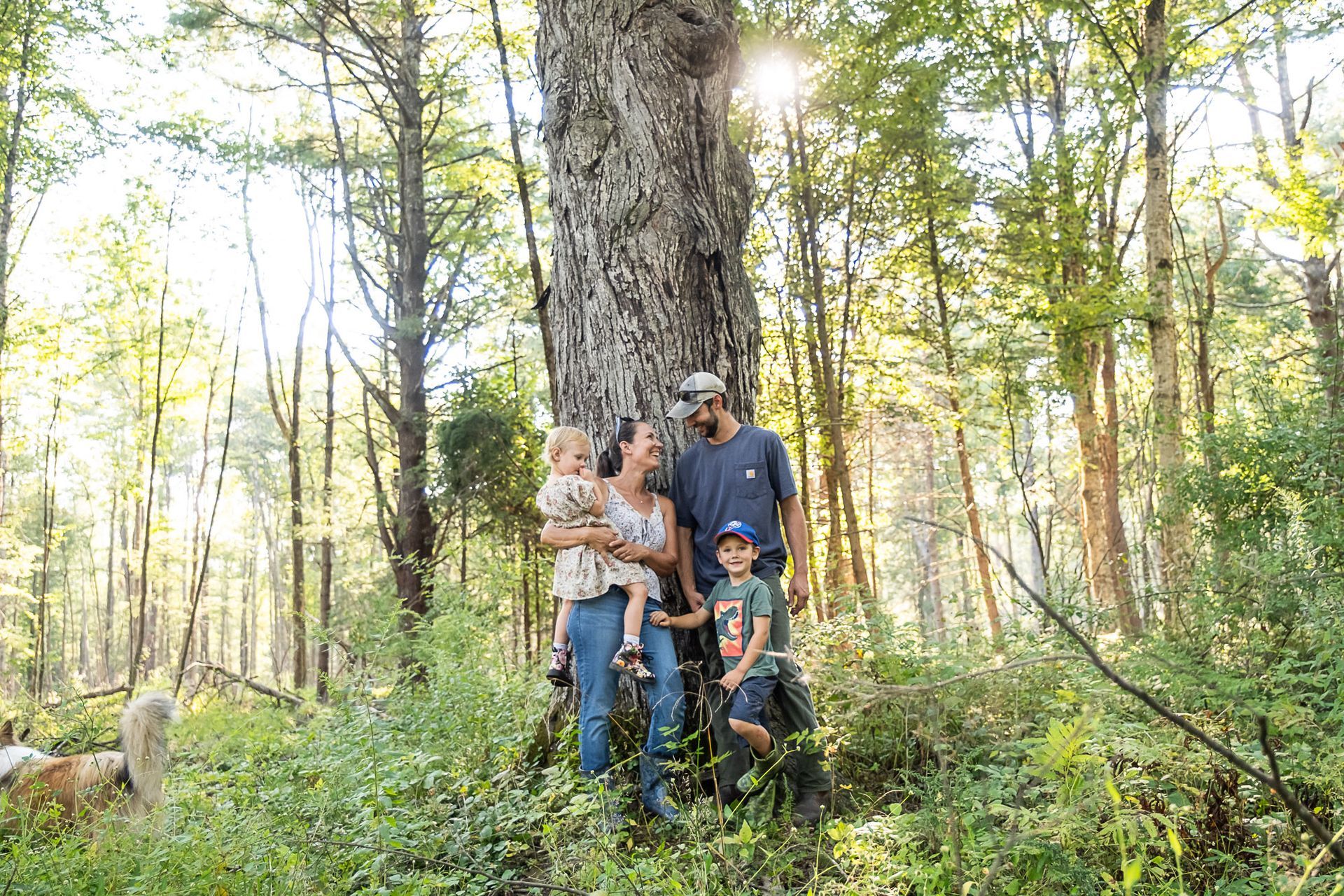 Stead Farm Family in the Forest