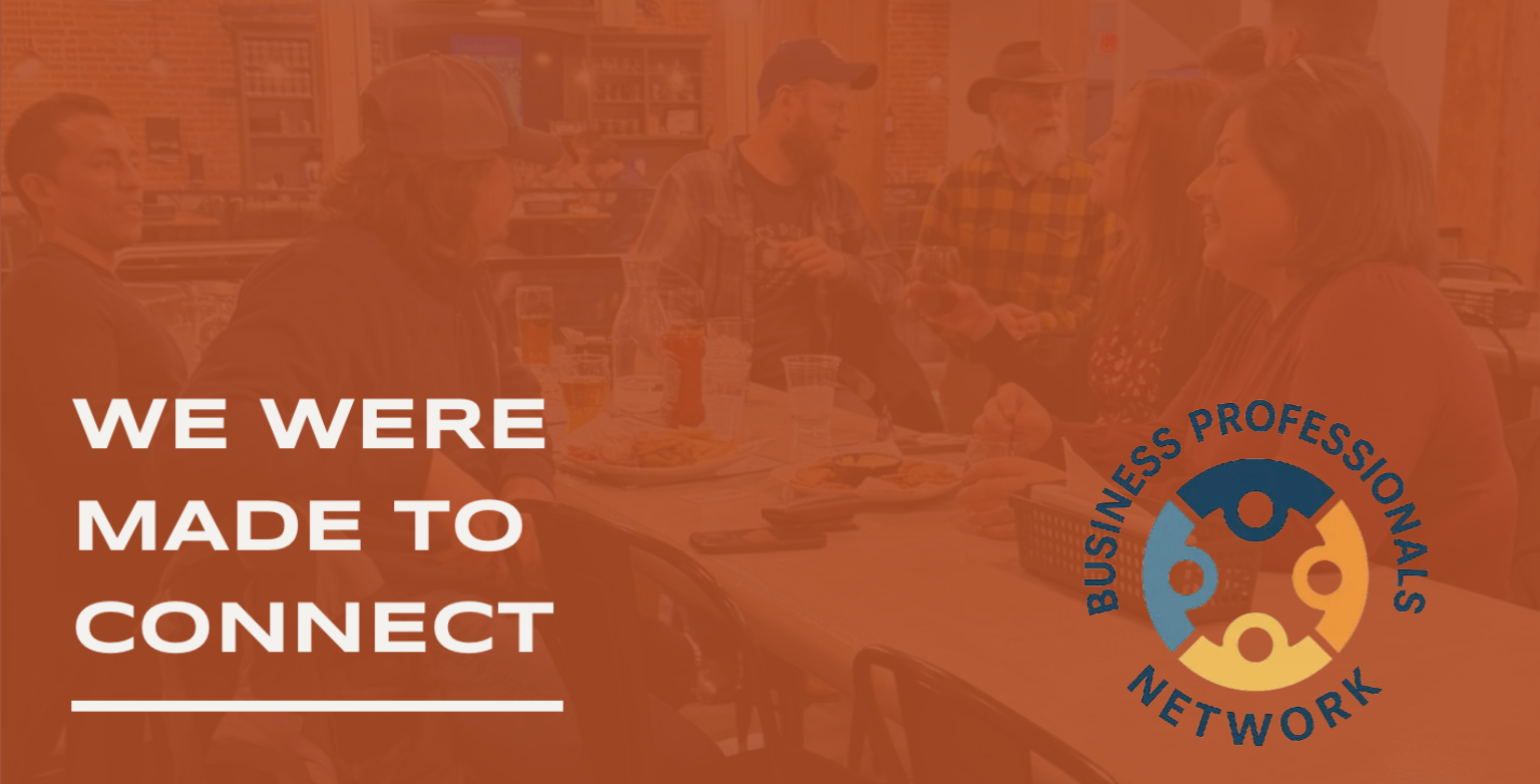 Professional Networking | BUSINESS PROFESSIONALS NETWORK