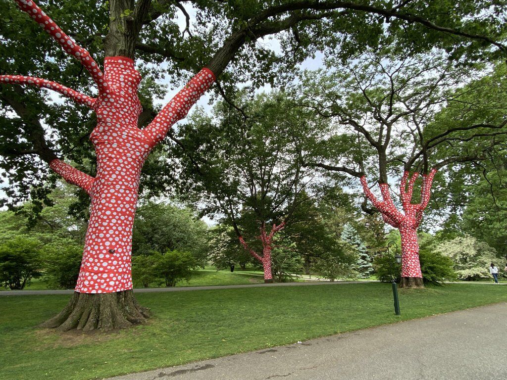 Red Wrap Trees — New York City, NY — Select Tours NYC