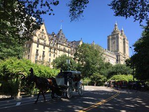 Central Park Old Building — New York City, NY — Select Tours NYC