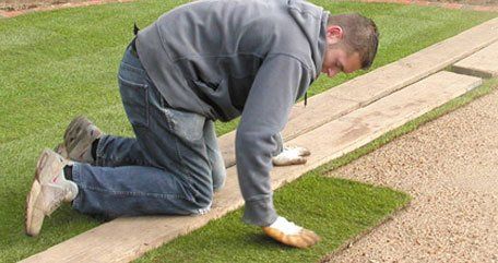 gardener kneeling on boards to lay turf