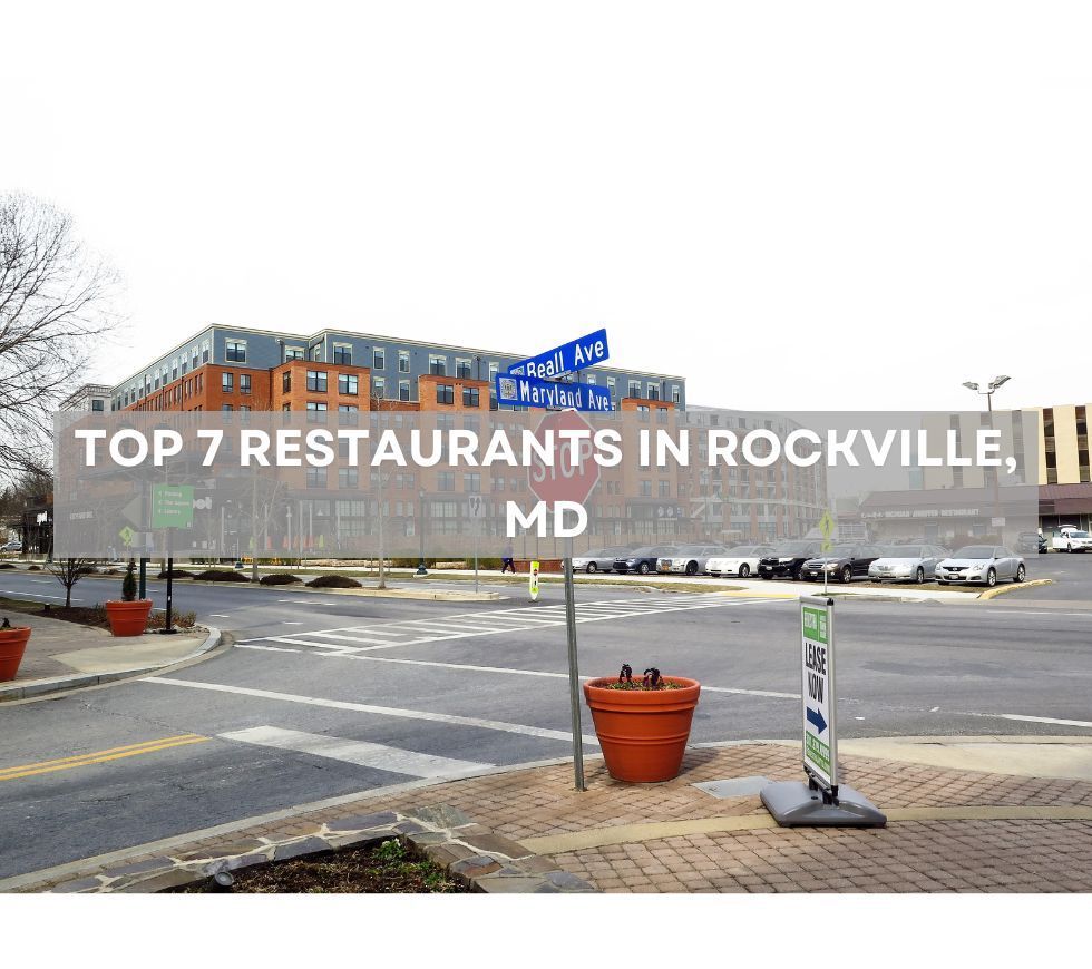 Top 7 Restaurants in Rockville, MD: A Foodie’s Dream for New Residents