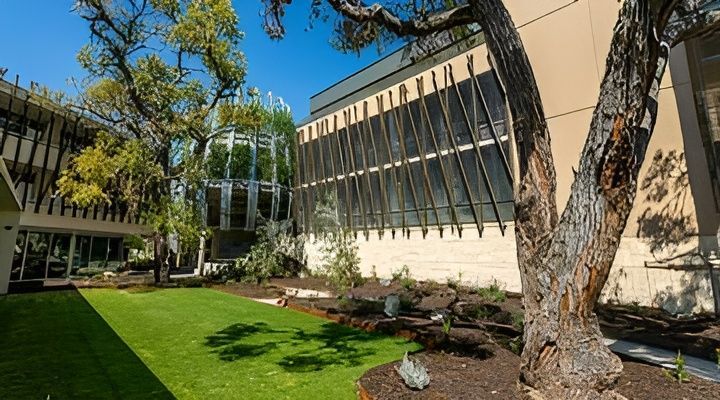 A Large Building With a Lot of Windows and a Tree in Front of It — Maryborough Bay Glass & Aluminium in Maryborough, QLD