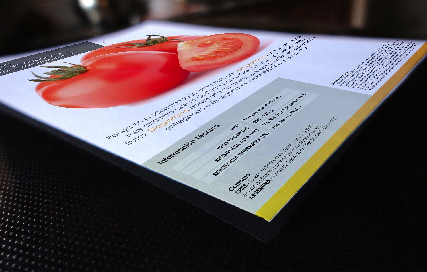 Um pedaço de papel com a imagem de um tomate