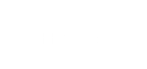 The District at Manhattan Logo