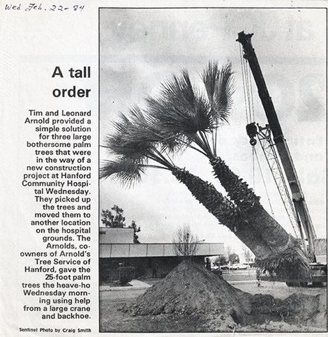 Tree Transplanting — Arnolds Newspaper Article in Hanford, CA