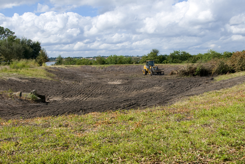 Brush Cleanup — Lot & Land Clearing in Hanford, CA