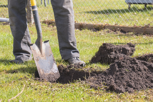 Stump Grinding — Planting in Hanford, CA