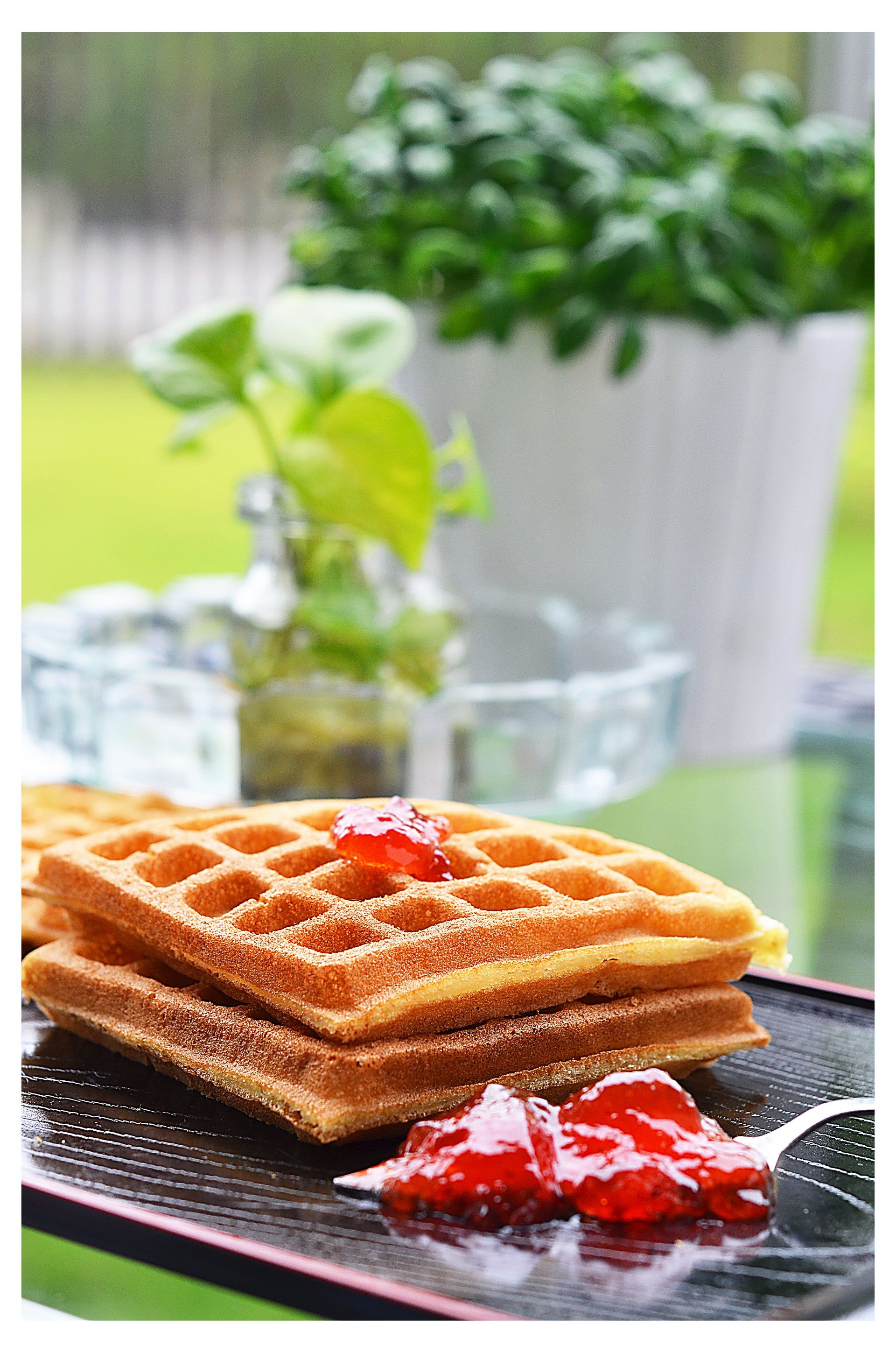 Bean Garden Mr Bean Mega Bean Waffle Cake