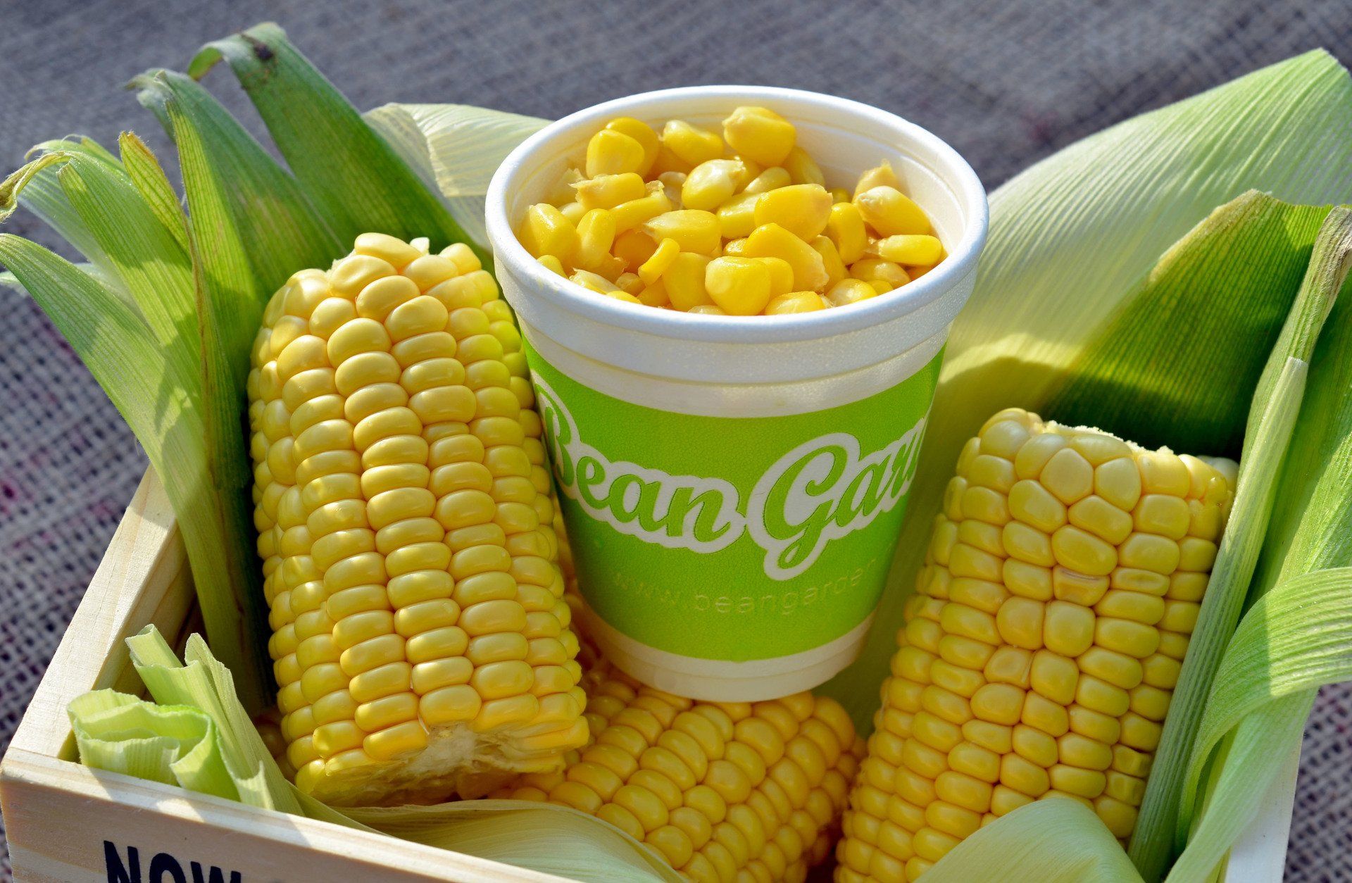 Bean Garden Mr Bean Mega Bean Sweet Corn Jagung