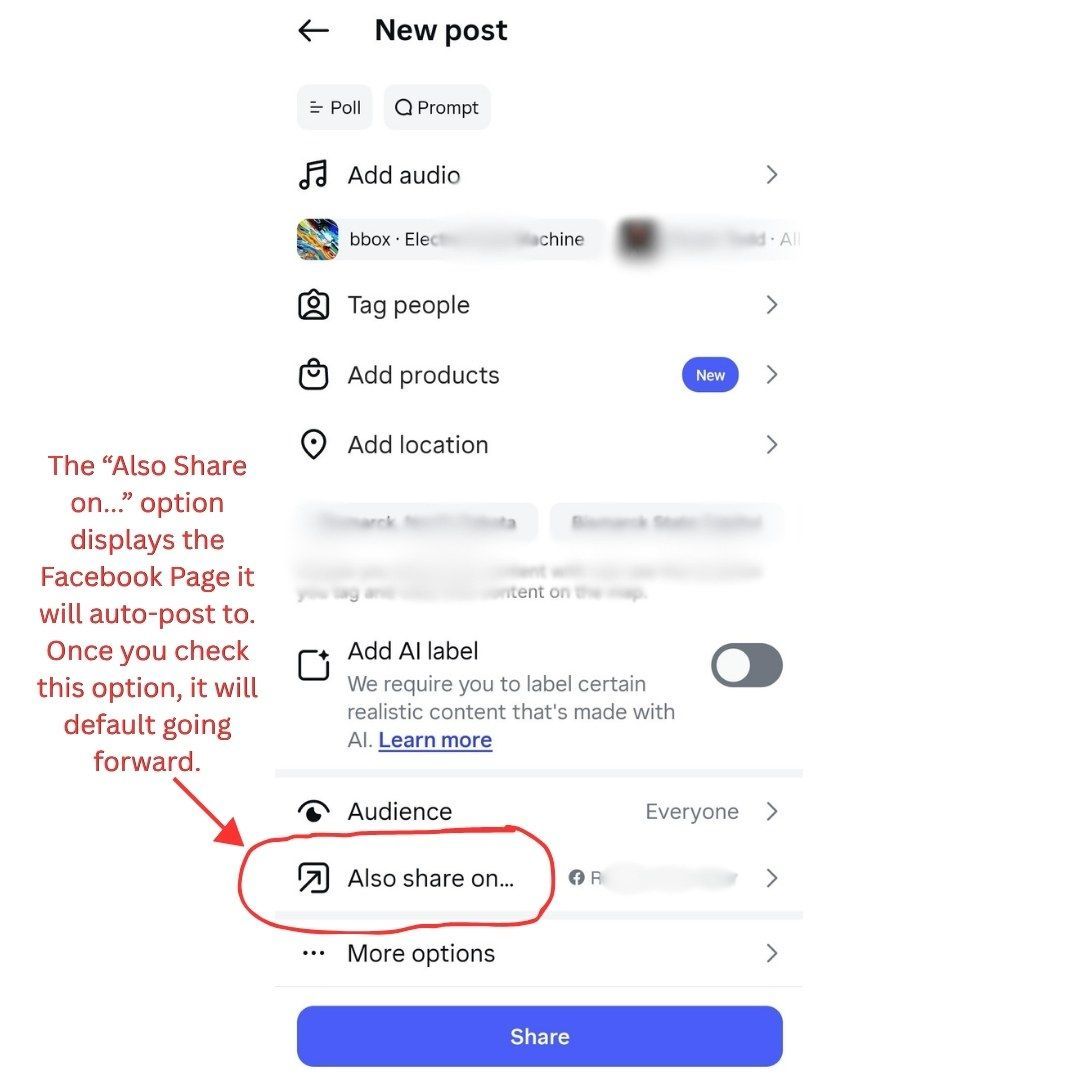 Social Media Posting Agency