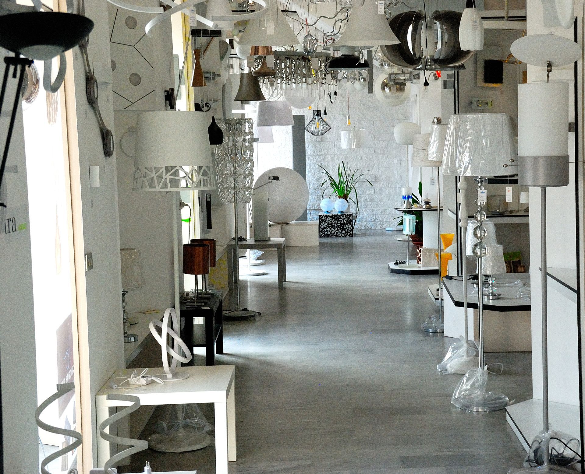 showroom di lampade